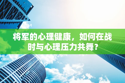 将军的心理健康，如何在战时与心理压力共舞？