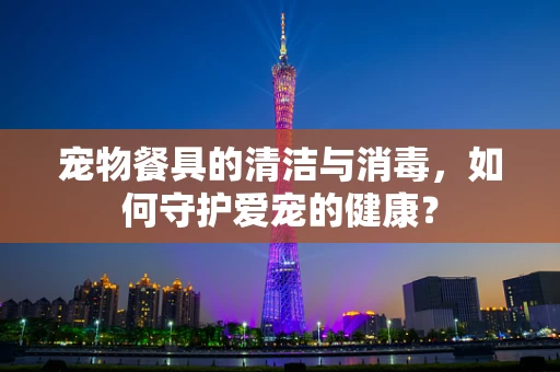 宠物餐具的清洁与消毒，如何守护爱宠的健康？