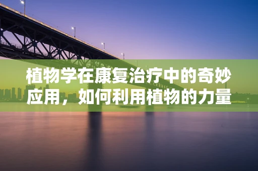 植物学在康复治疗中的奇妙应用，如何利用植物的力量促进患者恢复？