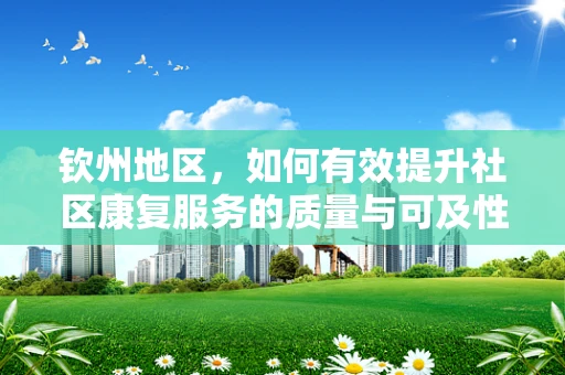 钦州地区，如何有效提升社区康复服务的质量与可及性？