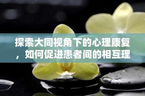 探索大同视角下的心理康复，如何促进患者间的相互理解与融合？