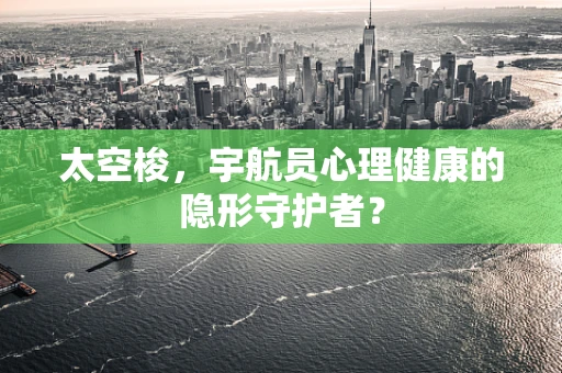 太空梭，宇航员心理健康的隐形守护者？