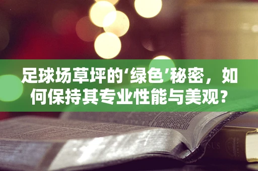 足球场草坪的‘绿色’秘密，如何保持其专业性能与美观？