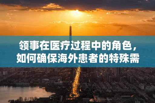 领事在医疗过程中的角色，如何确保海外患者的特殊需求得到满足？