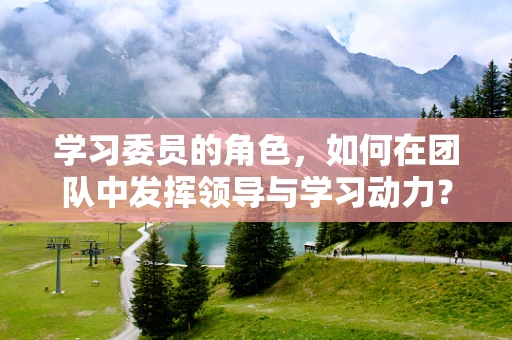 学习委员的角色，如何在团队中发挥领导与学习动力？