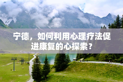 宁德，如何利用心理疗法促进康复的心探索？