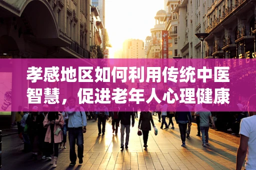 孝感地区如何利用传统中医智慧，促进老年人心理健康？