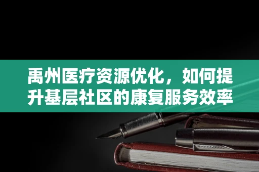 禹州医疗资源优化，如何提升基层社区的康复服务效率？