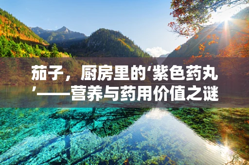 茄子，厨房里的‘紫色药丸’——营养与药用价值之谜