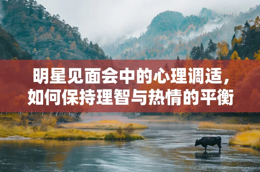 明星见面会中的心理调适，如何保持理智与热情的平衡？
