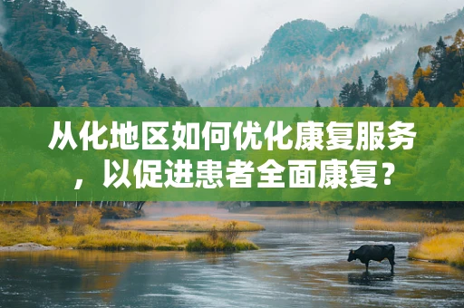 从化地区如何优化康复服务，以促进患者全面康复？