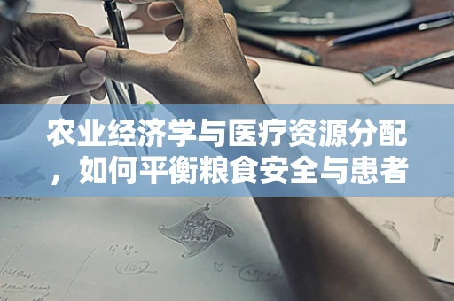 农业经济学与医疗资源分配，如何平衡粮食安全与患者治疗？
