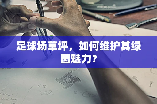 足球场草坪，如何维护其绿茵魅力？