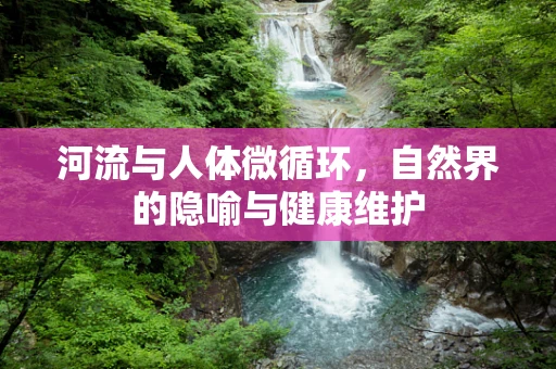 河流与人体微循环，自然界的隐喻与健康维护