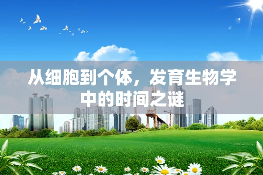 从细胞到个体，发育生物学中的时间之谜