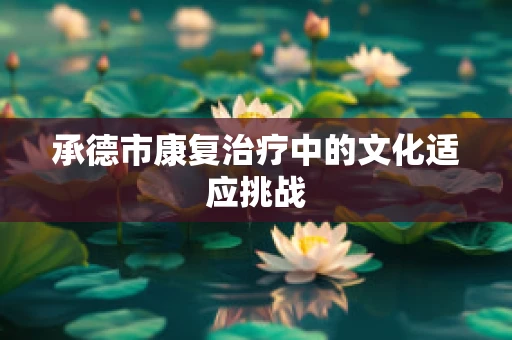 承德市康复治疗中的文化适应挑战