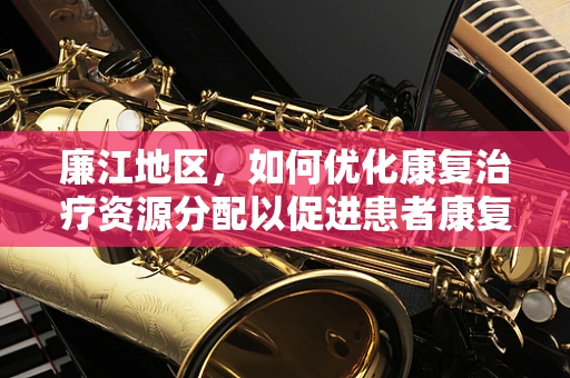 廉江地区，如何优化康复治疗资源分配以促进患者康复效率？