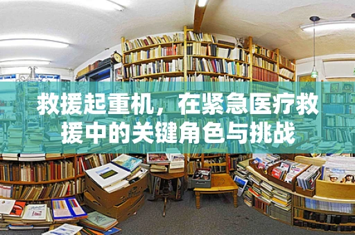 救援起重机，在紧急医疗救援中的关键角色与挑战