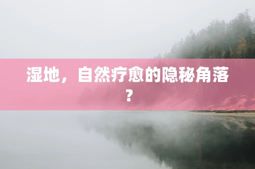 湿地，自然疗愈的隐秘角落？