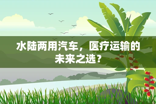 水陆两用汽车，医疗运输的未来之选？