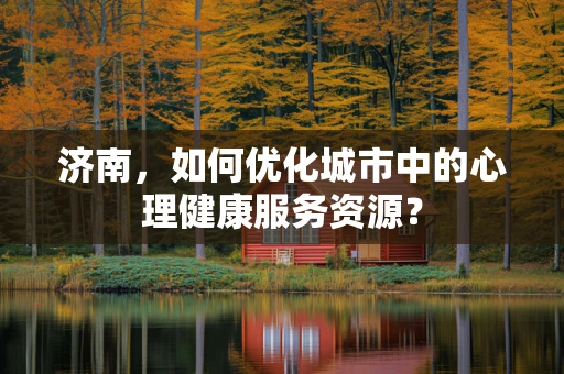 济南，如何优化城市中的心理健康服务资源？