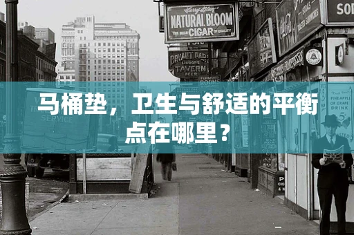 马桶垫，卫生与舒适的平衡点在哪里？