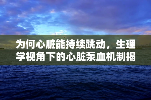 为何心脏能持续跳动，生理学视角下的心脏泵血机制揭秘