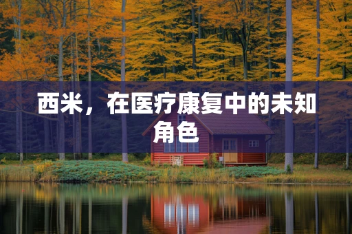 西米，在医疗康复中的未知角色