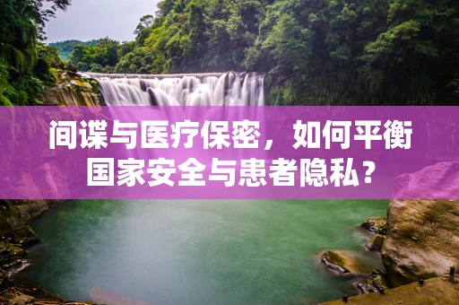 间谍与医疗保密，如何平衡国家安全与患者隐私？