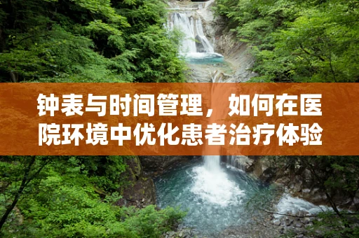 钟表与时间管理，如何在医院环境中优化患者治疗体验？