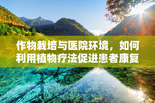 作物栽培与医院环境，如何利用植物疗法促进患者康复？