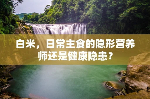 白米，日常主食的隐形营养师还是健康隐患？