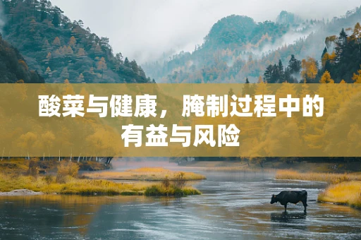 酸菜与健康，腌制过程中的有益与风险