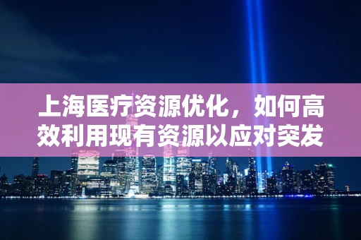 上海医疗资源优化，如何高效利用现有资源以应对突发公共卫生事件？