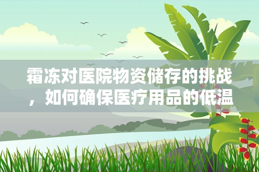 霜冻对医院物资储存的挑战，如何确保医疗用品的低温安全？