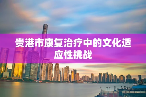 贵港市康复治疗中的文化适应性挑战