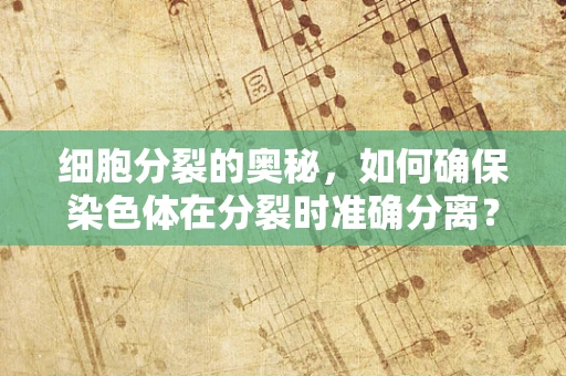 细胞分裂的奥秘，如何确保染色体在分裂时准确分离？