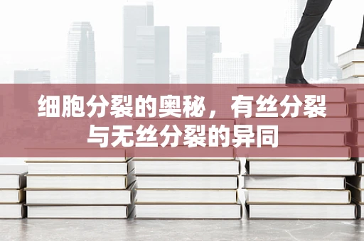细胞分裂的奥秘，有丝分裂与无丝分裂的异同