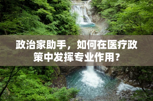 政治家助手，如何在医疗政策中发挥专业作用？