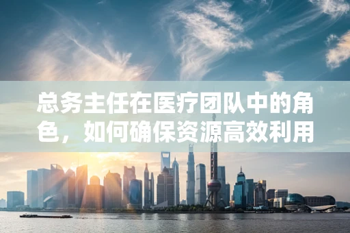 总务主任在医疗团队中的角色，如何确保资源高效利用？