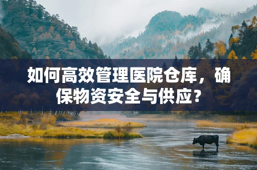 如何高效管理医院仓库，确保物资安全与供应？