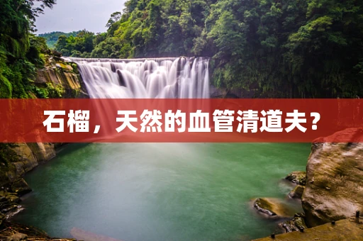 石榴，天然的血管清道夫？