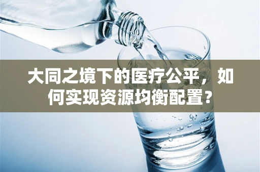 大同之境下的医疗公平，如何实现资源均衡配置？