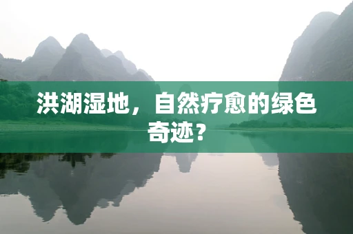 洪湖湿地，自然疗愈的绿色奇迹？