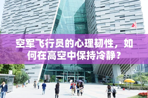 空军飞行员的心理韧性，如何在高空中保持冷静？