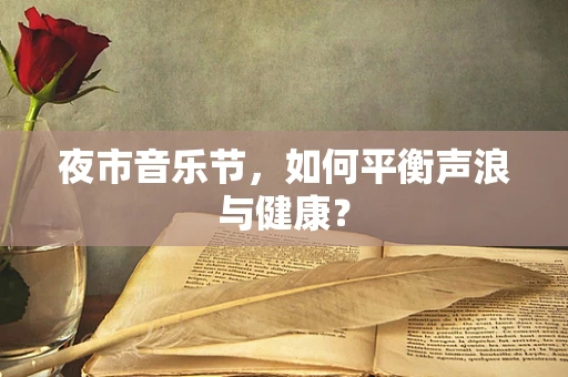 夜市音乐节，如何平衡声浪与健康？