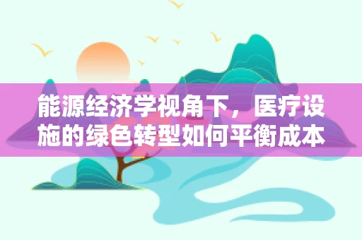 能源经济学视角下，医疗设施的绿色转型如何平衡成本与效益？