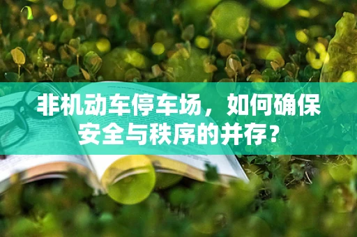 非机动车停车场，如何确保安全与秩序的并存？