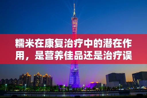 糯米在康复治疗中的潜在作用，是营养佳品还是治疗误区？
