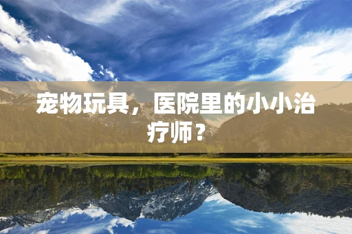 宠物玩具，医院里的小小治疗师？